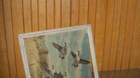 Inside - Abandoned-St.-Davids-House4.jpg