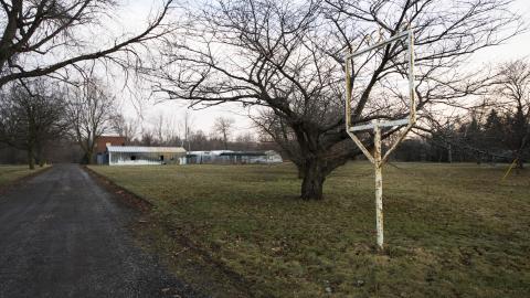 A Warm Winter - January 2018 - 1.jpg