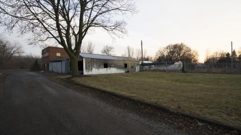 A Warm Winter - January 2018 - 2.jpg