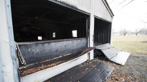 A Warm Winter - January 2018 - 4.jpg