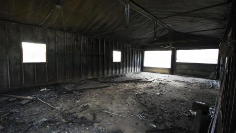 A Warm Winter - January 2018 - 5.jpg