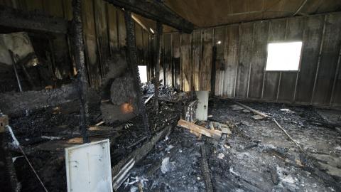 A Warm Winter - January 2018 - 6.jpg