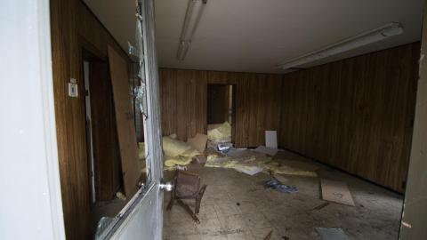 A Warm Winter - January 2018 - 7.jpg