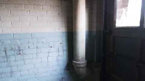 A Warm Winter - January 2018 - 9.jpg