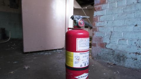 A Warm Winter - January 2018 - 10.jpg