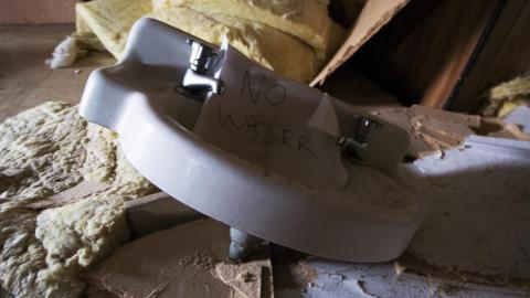 A Warm Winter - January 2018 - 12.jpg