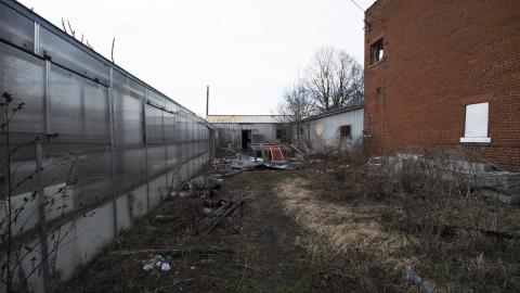 A Warm Winter - January 2018 - 15.jpg