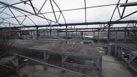 A Warm Winter - January 2018 - 16.jpg