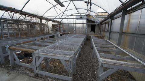 A Warm Winter - January 2018 - 17.jpg