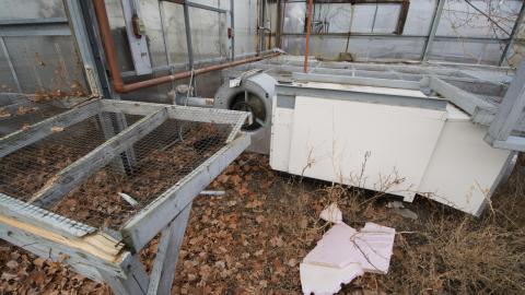 A Warm Winter - January 2018 - 18.jpg