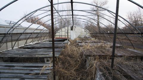 A Warm Winter - January 2018 - 20.jpg