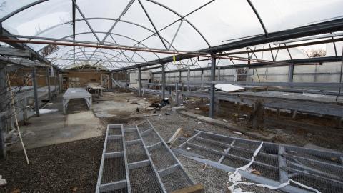 A Warm Winter - January 2018 - 21.jpg