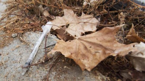 A Warm Winter - January 2018 - 23.jpg