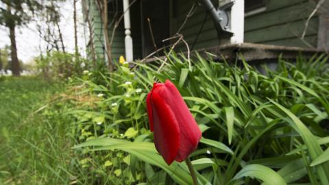 No Respect - April 2017 - 1.jpg