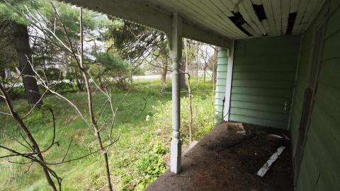 Rodney Dangerfield photo 2