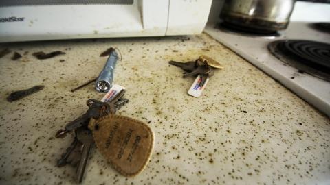 Rodney Dangerfield photo 5