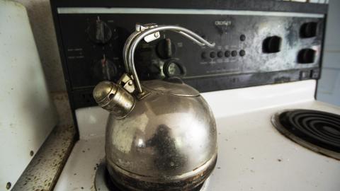 Rodney Dangerfield - West Elgin, Ontario