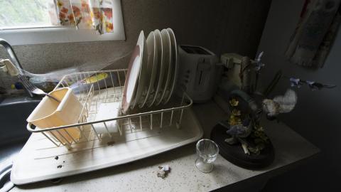 Rodney Dangerfield photo 3