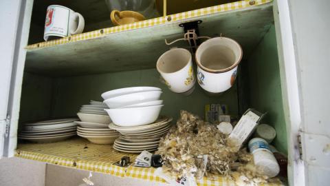 Rodney Dangerfield photo 4