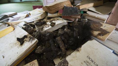 No Respect - April 2017 - DSC_0742.jpg