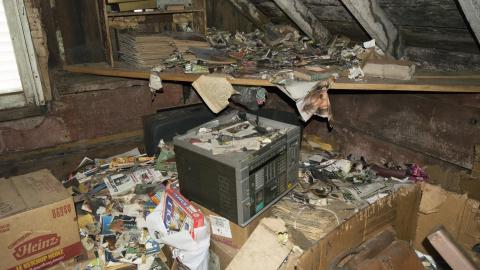 No Respect - April 2017 - DSC_0747.jpg