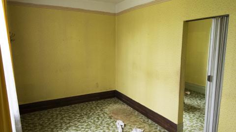 No Respect - April 2017 - DSC_0759.jpg