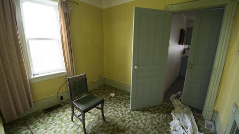 No Respect - April 2017 - DSC_0760.jpg