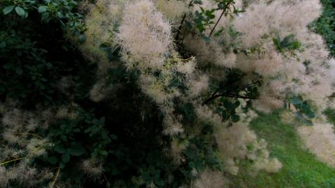 Another WON @ Another 1 - IMG_3692.JPG