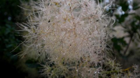 Another WON @ Another 1 - IMG_3694.JPG