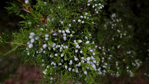 Another WON @ Another 1 - IMG_3695.JPG