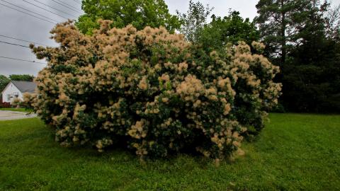 Another WON @ Another 1 - IMG_3697.JPG