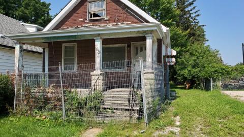 D'oh! A deer! photo 2