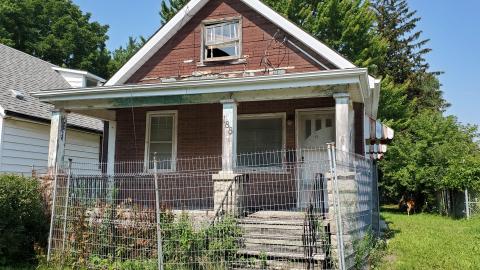 D'oh! A deer! photo 4