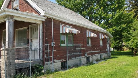 D'oh! A deer! photo 3