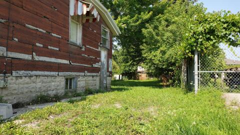 D'oh! A deer! - London, Ontario