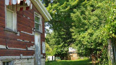 D'oh! A deer! - 9.jpg