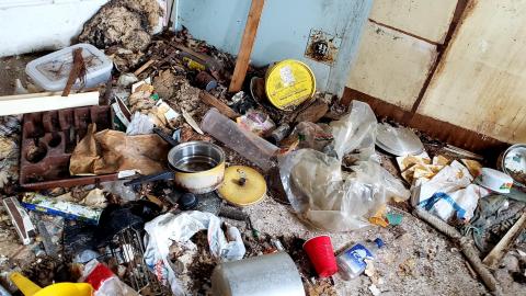 March 2021 - 20210306_171435.jpg