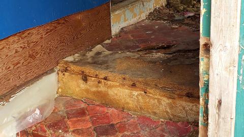 March 2021 - 20210306_171619.jpg