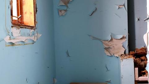 Photo from March 2021