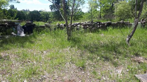 Vandals strike again - 20210530_123501.jpg