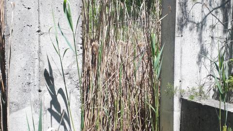 Vandals strike again - 20210530_123433.jpg