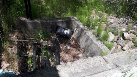 Vandals strike again - 20210530_123339.jpg