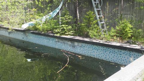 Vandals strike again - 20210530_123254.jpg