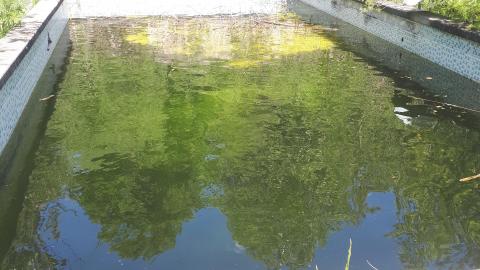 Vandals strike again - 20210530_123250.jpg