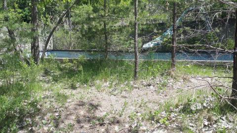 Vandals strike again - 20210530_123151.jpg