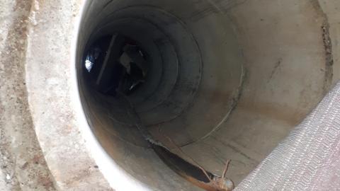 Vandals strike again - 20210523_152243.jpg