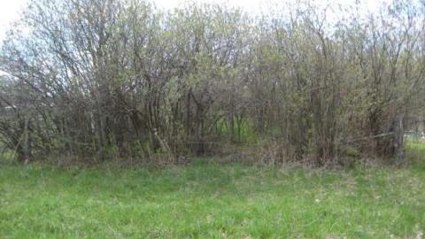 Bolton Cemetery - Elizabethtown-Kitley, Ontario