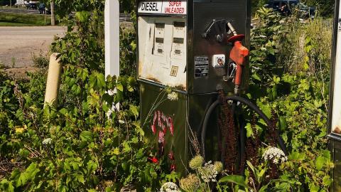 2021 - 0C964B54-B6A4-48BD-B6F3-A9ABD86FFEF9.jpeg