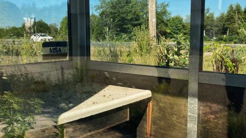 2021 - 15451A52-6164-46B8-8B5E-F43FA6C19A07.jpeg