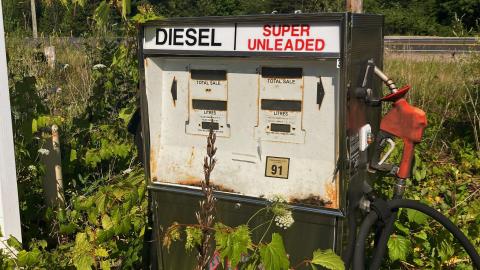 2021 - 0E442EFA-D863-4DFA-9938-E01E60D6DACC.jpeg